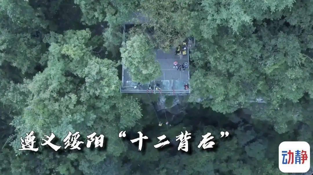 环世界